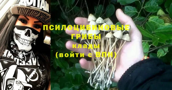 ALPHA-PVP Вяземский