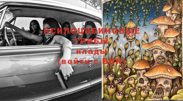ALPHA-PVP Вяземский