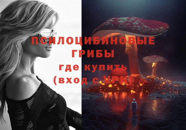 мдпв Вязники