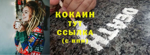 соль ск Вязьма