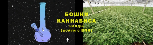 ALPHA-PVP Вяземский