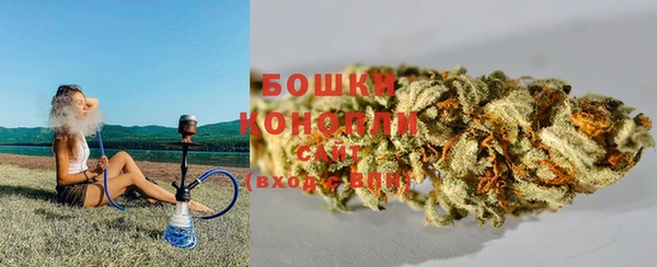 трава Наволоки