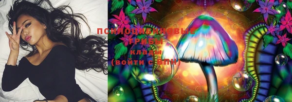 мдпв Вязники