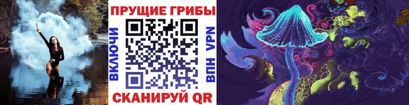Галлюциногенные грибы Psilocybe  даркнет сайт  Меленки 